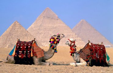 3000x2000-ttwo-camels