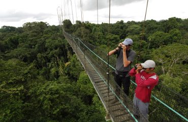 Canopy-Walkway-7