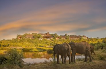 Elephants in front of Victoria Falls Safari Lodge