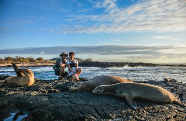 GPS51024-sea-lion-couple-landscape