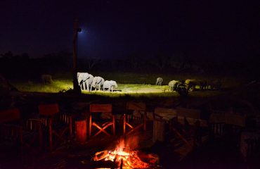 KHULU BUSH CAMP (1)