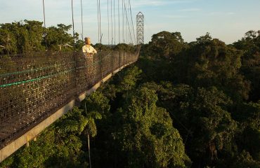 bn_canopy_walk_01-1