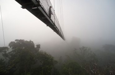 bn_canopy_walk_02