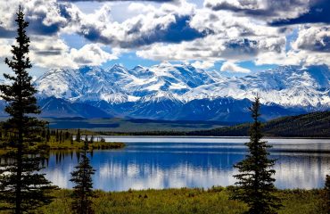 denali-national-park-1733313