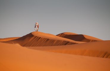 desert-1101123