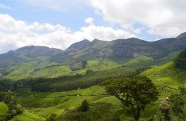 munnar-2259072