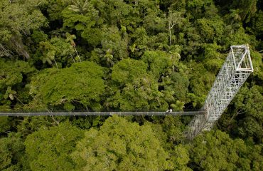 par_canopy_walk