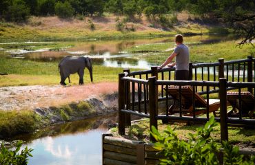 wyprawy-Splendor-Afryki-Belmond-Savute-Elephant-Lodge2