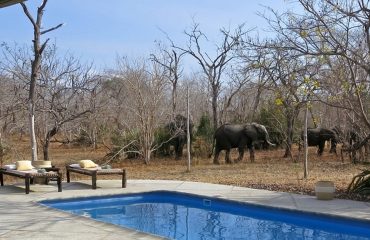 wyprawy-safari-i-wypoczynek-na-plaży-Tanzania-Siwandu7