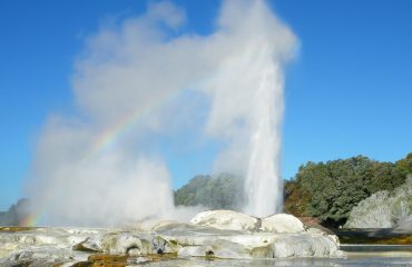 Pohutu-Geyser-eruption