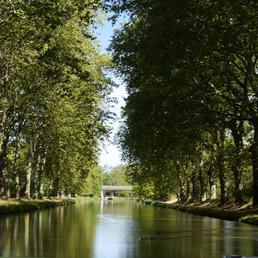 channel du midi