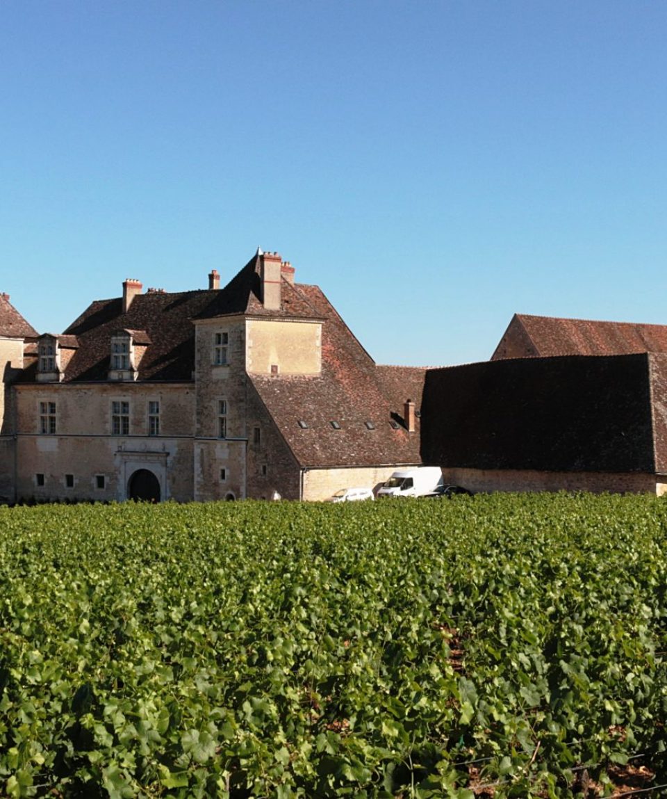 chateau-de-clos-de-vougeot-374419